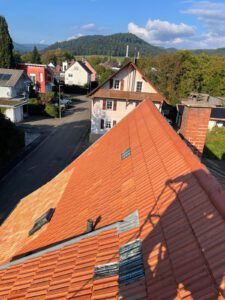 Dachreinigung nachher