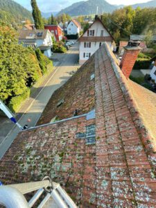 Dachreinigung vorher