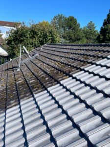 Dachreinigung vorher/nachher